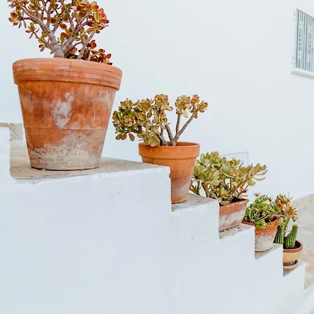빌라 La Terrazza Sugli Ulivi - Con Piscina Panoramica